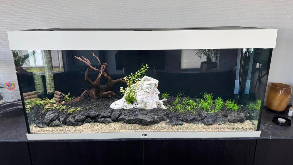 Juwel rio Aquarium incl. toebehoren, Dieren en Toebehoren, Ophalen, Zo goed als nieuw, Leeg aquarium