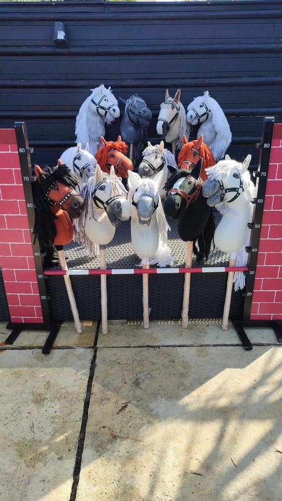 Hobby horse dekjes dekens oornetjes, Verzenden, Nieuw