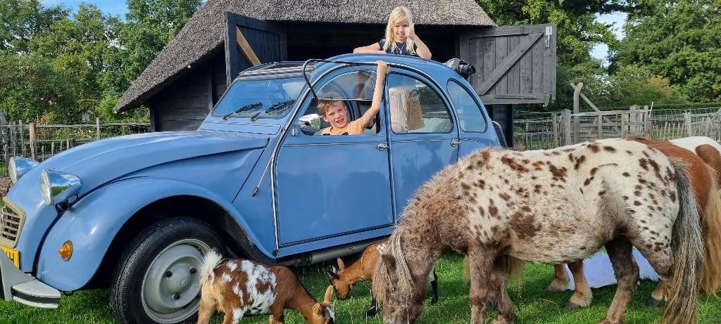 Citroën 2CV 0.6 Spec S6 1986 Blauw, Auto's, Voorwielaandrijving, 602 cc, 2CV, Blauw