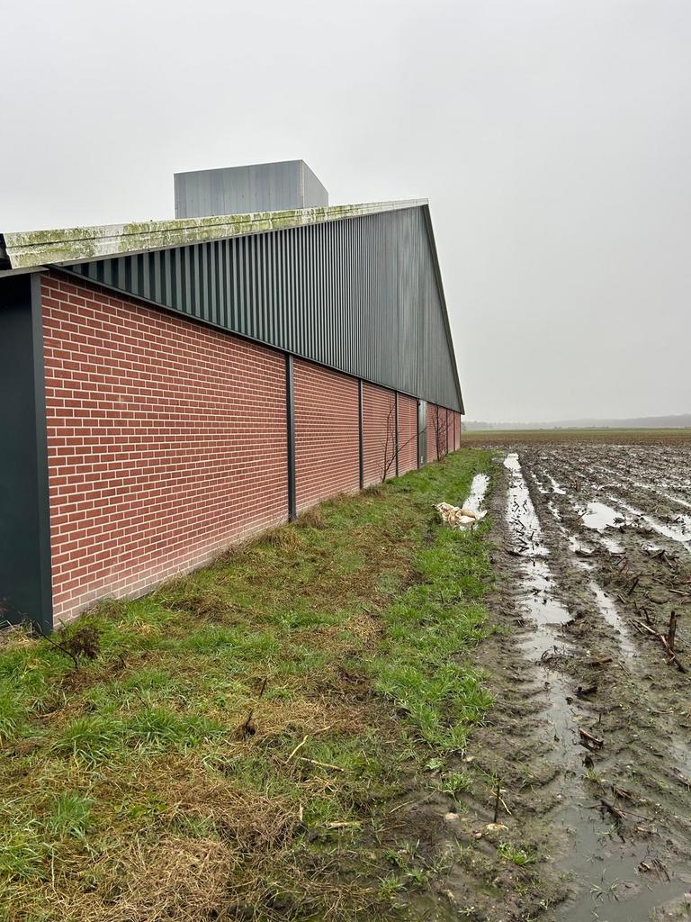 Bovenbouw varkenstal 60x40, Doe-het-zelf en Verbouw, Dakpannen en Dakbedekking, Gebruikt, Dakplaat of Dakpanplaat, Metaal, Grijs