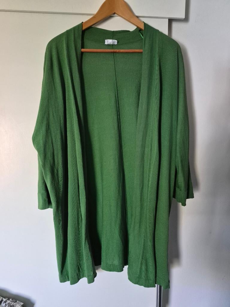 Mooi vest 3/4 mouw gerry weber maat 48, Kleding | Dames, Maat 46/48 (XL) of groter, Ophalen of Verzenden, Zo goed als nieuw, Gerry weber