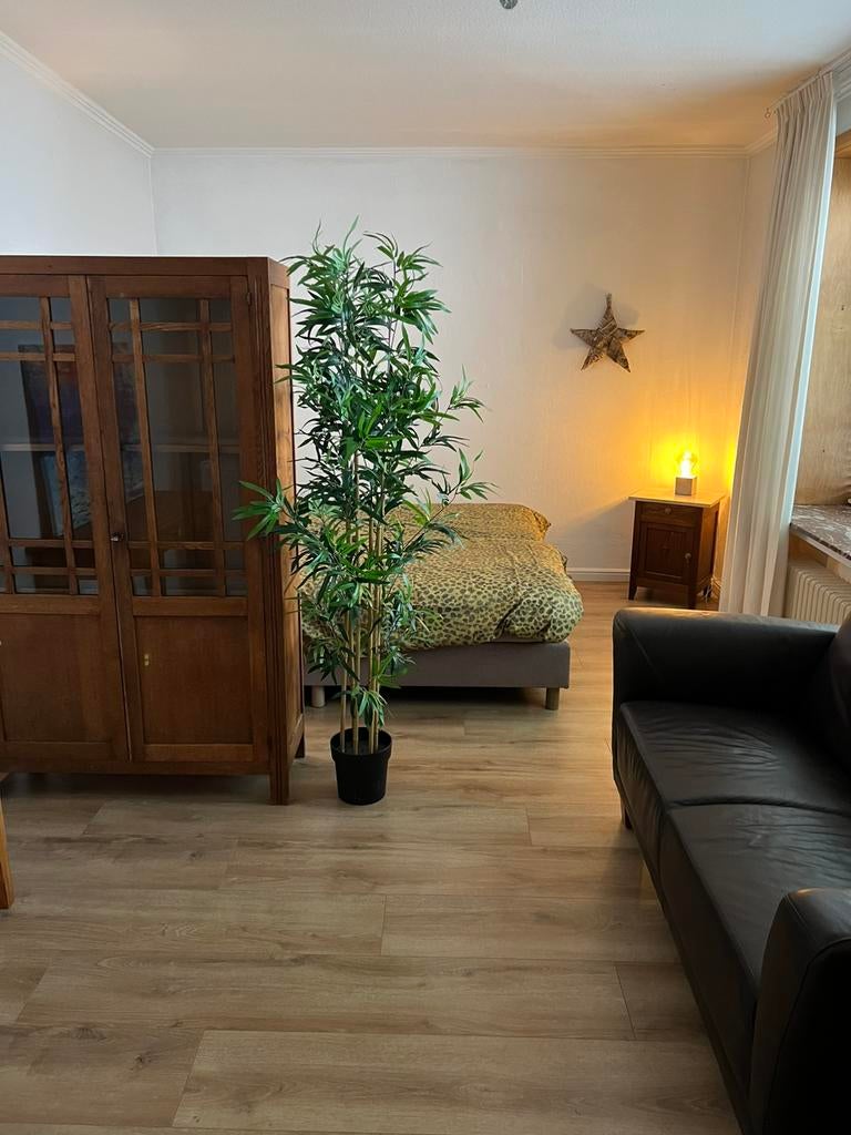 Gemeubileerde Studio te huur in Waldfeucht, Huizen en Kamers