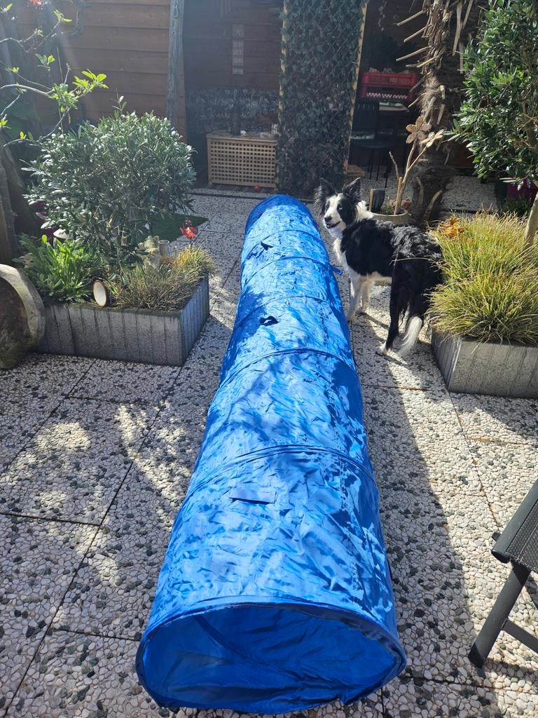 Honden agility set 4- delig, Dieren en Toebehoren, Ophalen, Zo goed als nieuw, Behendigheidspeelgoed