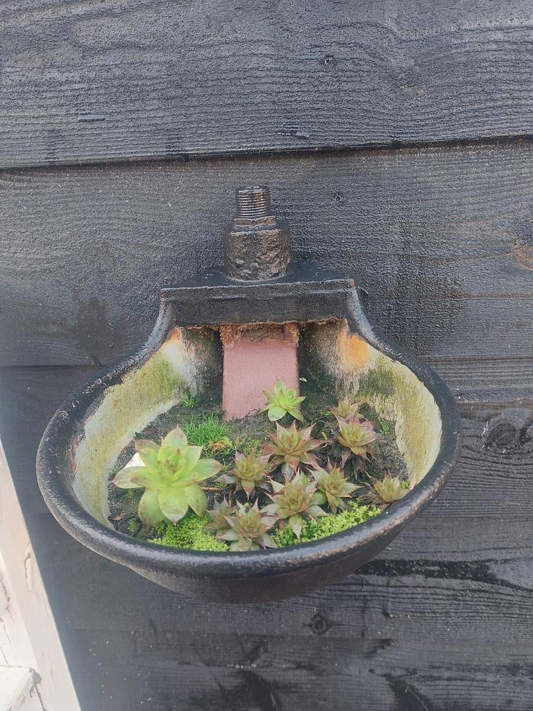 Drinkbakje, Tuin en Terras, Bloembakken en Plantenbakken, Ophalen, Rond, Minder dan 30 cm