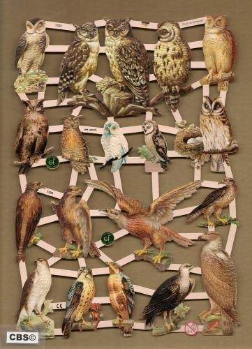 Roofvogels en Uilen poezieplaatjes 7333, Ophalen of Verzenden