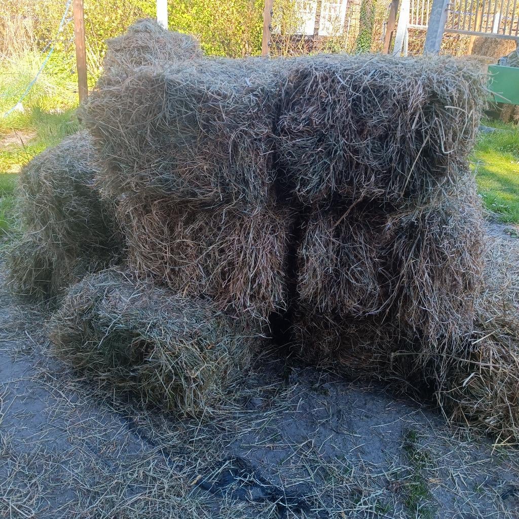 Hooi, Dieren en Toebehoren, Dierenvoeding, Ophalen, Vee