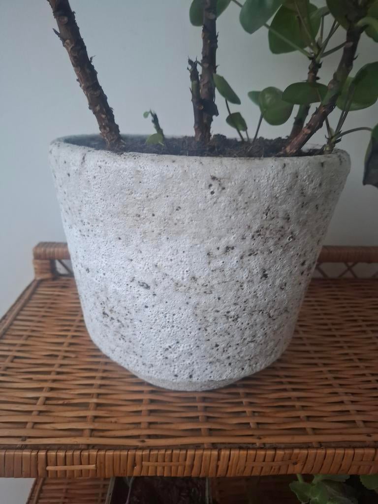 Witte bloempot plantenbak fatlava west germany, Tuin en Terras, Ophalen, Rond, Aardewerk, Minder dan 40 cm