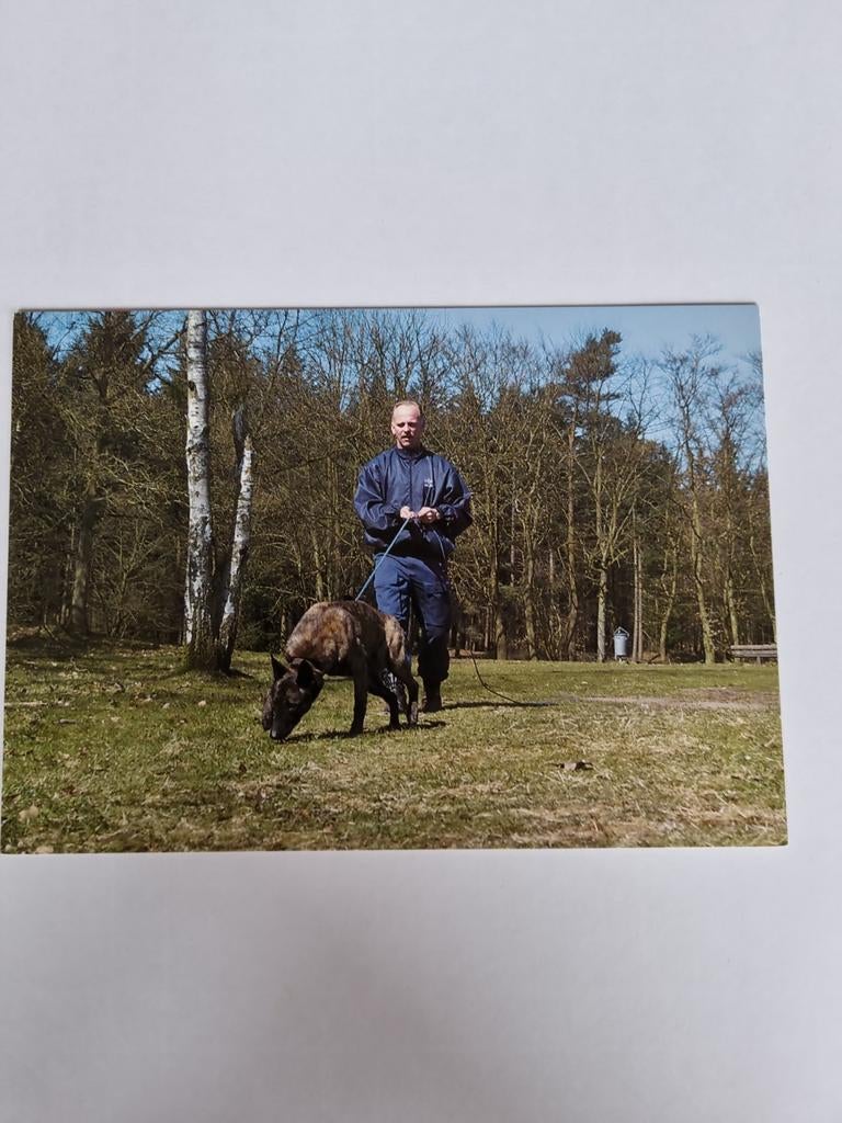 Politie ansichtkaart. Speurhond KLPD, Ophalen of Verzenden