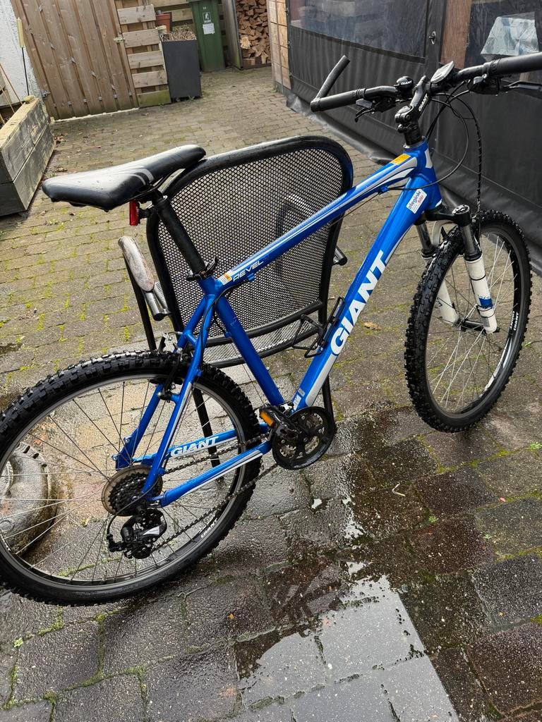 Giant Revel Mountainbike - Blauw/Zilver, Ophalen, Gebruikt, Hardtail, Heren