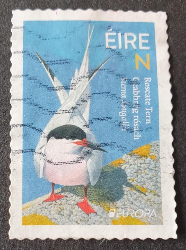 098-26 Ierland / Europazegel - Roseate Tern, Verzenden, Ierland, Gestempeld