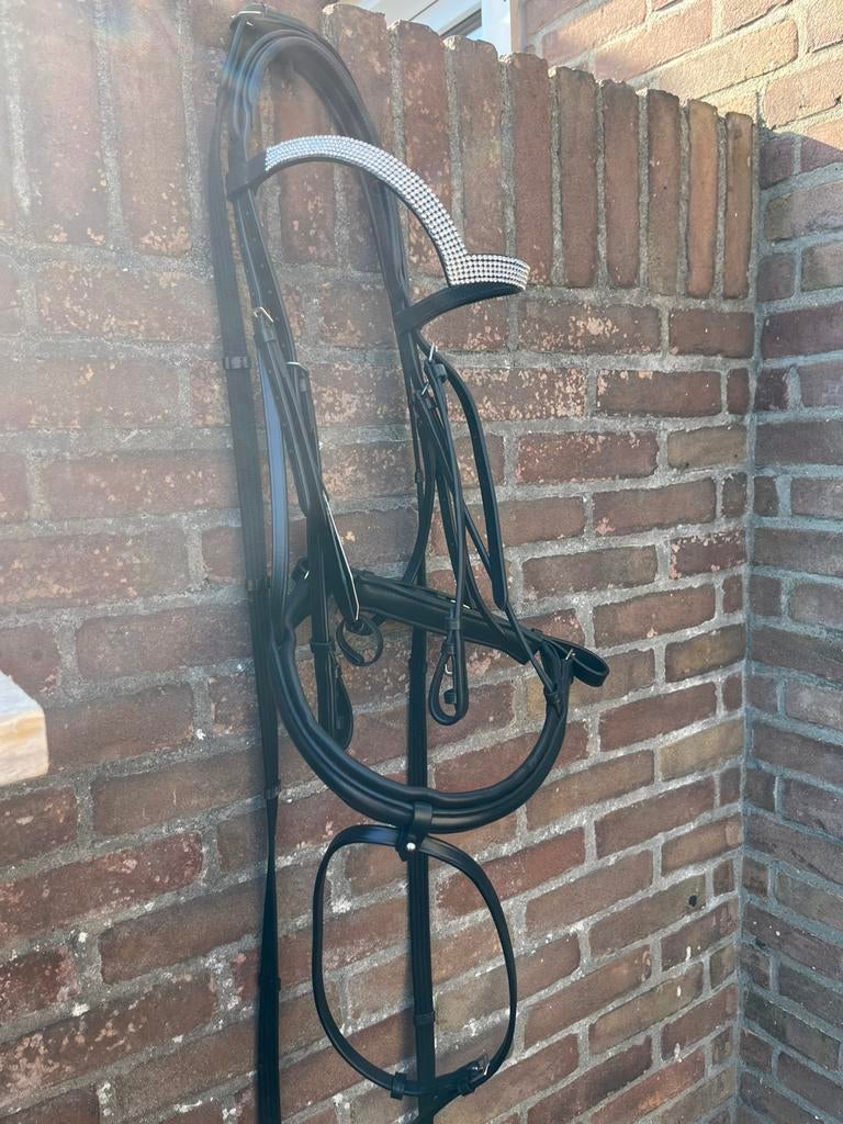 Trekpaard hoofdstel nieuw, Dieren en Toebehoren, Ophalen of Verzenden, Nieuw, Dressuur