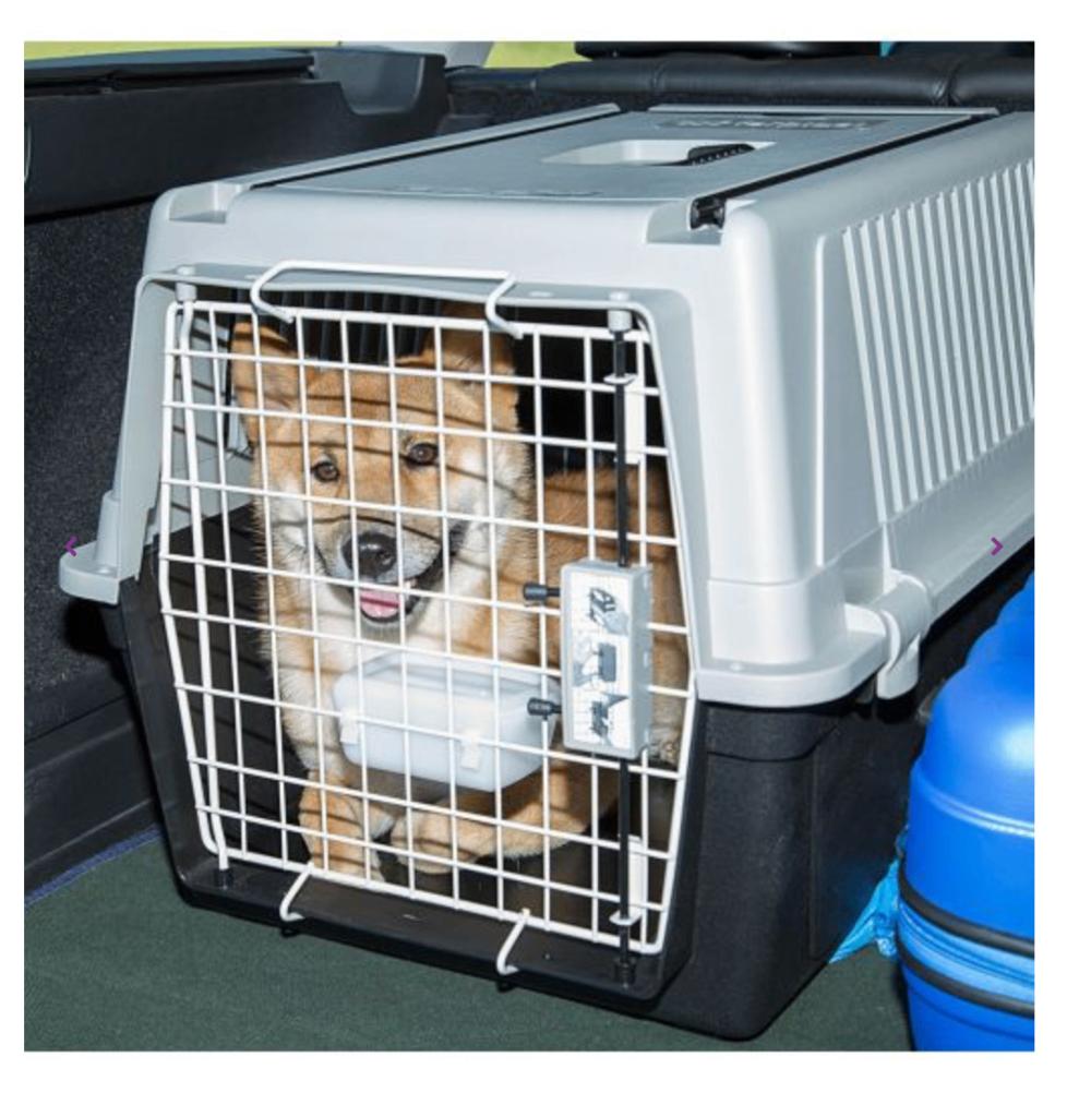 ZGAN Ferplast Transportbox voor hond en kat  68 X 49 X 45,5, Ophalen of Verzenden, Zo goed als nieuw