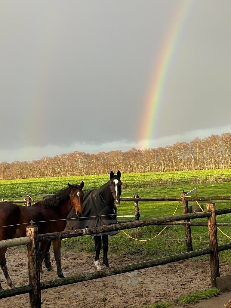 Stalling voor een weidemaatje of “opfok” in Schoonebeek., Stalling