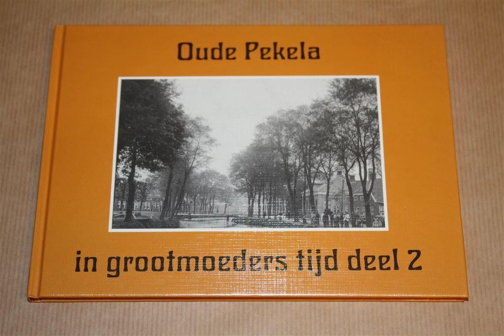Oude Pekela in grootmoeders tijd - Deel 2, Boeken, Geschiedenis | Stad en Regio, Ophalen of Verzenden, Zo goed als nieuw