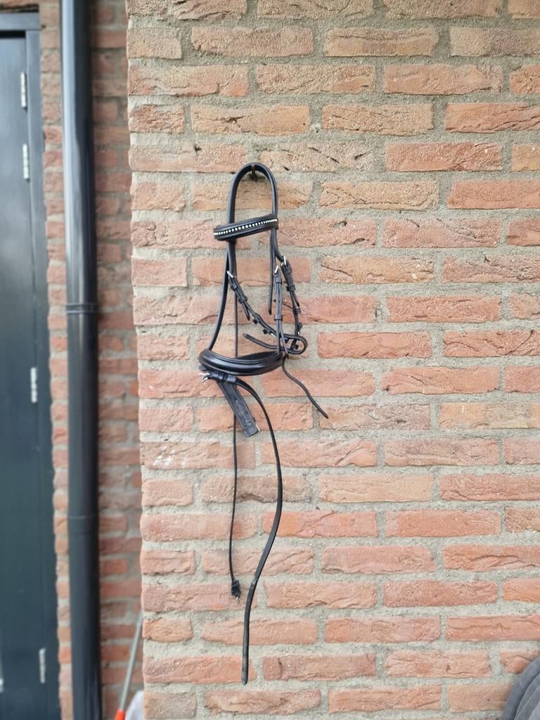 Shet, mini shet, pony tuig, Ophalen of Verzenden, Nieuw, Overige soorten