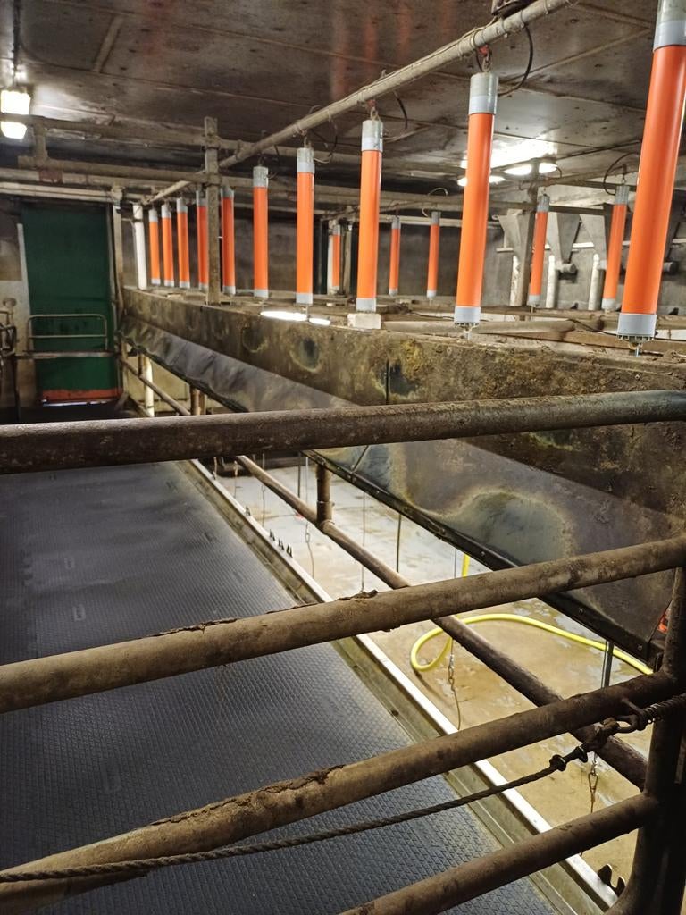 Boumatic/ Gascoigne melkstal ( ook in onderdelen te koop