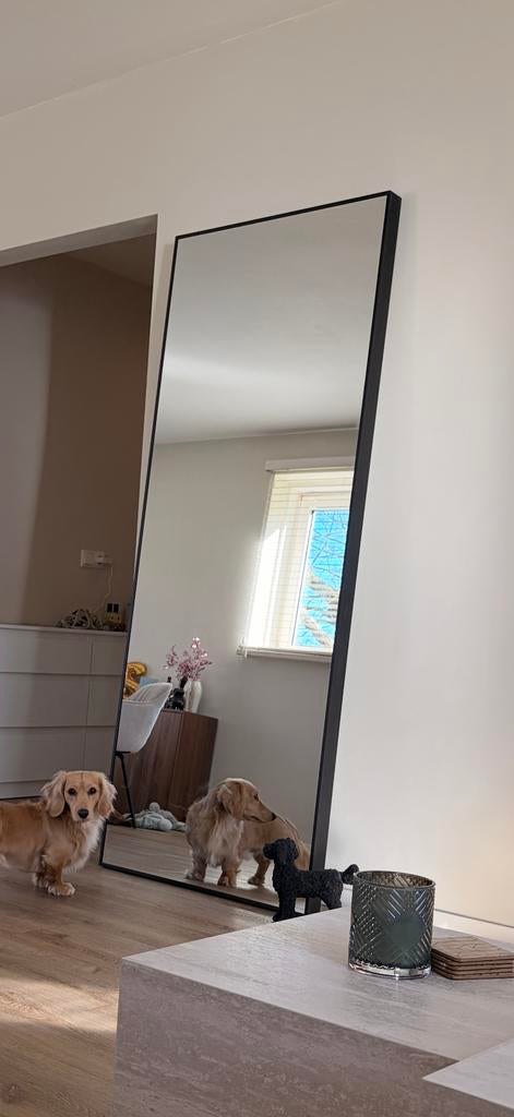 IKEA Hovet spiegel zwart 78x196 cm, Huis en Inrichting, Woonaccessoires | Spiegels, Ophalen, Zo goed als nieuw, 75 tot 100 cm