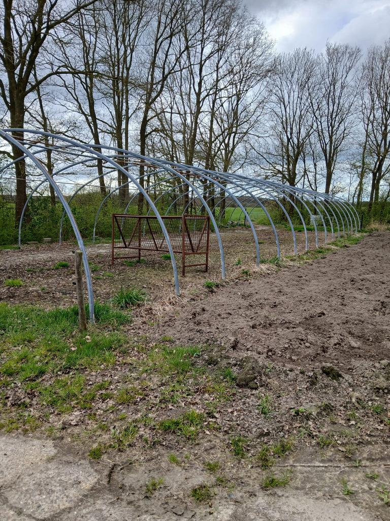 Frame tentstal / schapenstal / geitenstal, Meerdere dieren, Schaap