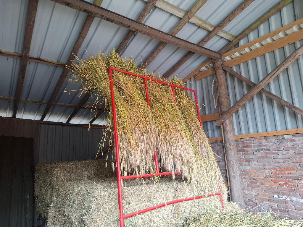 Rogge stro, roggestro, vlechten, korfvlechten, hoeden, Ophalen, Nieuw