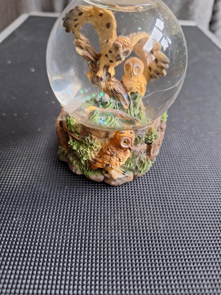 Sneeuwbol uil, Ophalen of Verzenden, Zo goed als nieuw, Dier