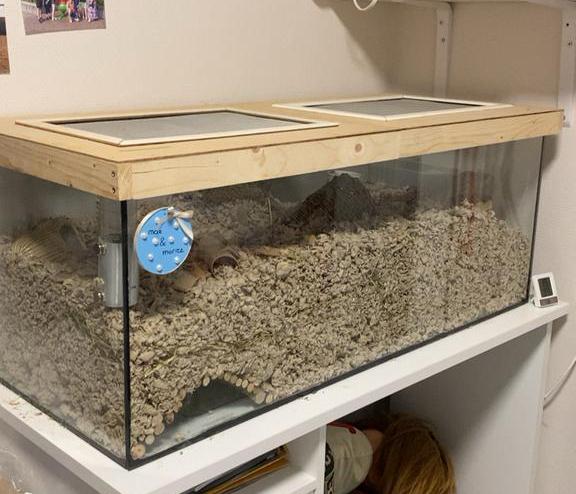 Terrarium 100x40x40 met bovenkap en ventilatie, Dieren en Toebehoren, Reptielen en Amfibieën | Toebehoren, Gebruikt, Overige typen