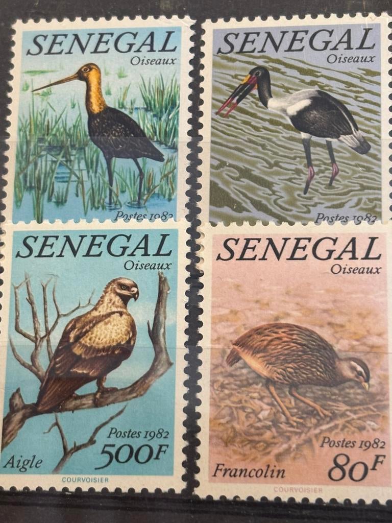 Vogel, Senegal 1982, Ophalen of Verzenden, Postfris, Dier of Natuur