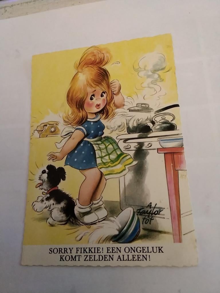 A TAYLOR TOT    SORRY FIKKIE!, Ophalen of Verzenden