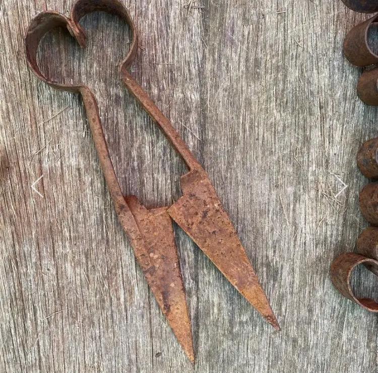 Antieke wolscharen, Antiek en Kunst, Antiek | Gereedschap en Instrumenten, Ophalen of Verzenden