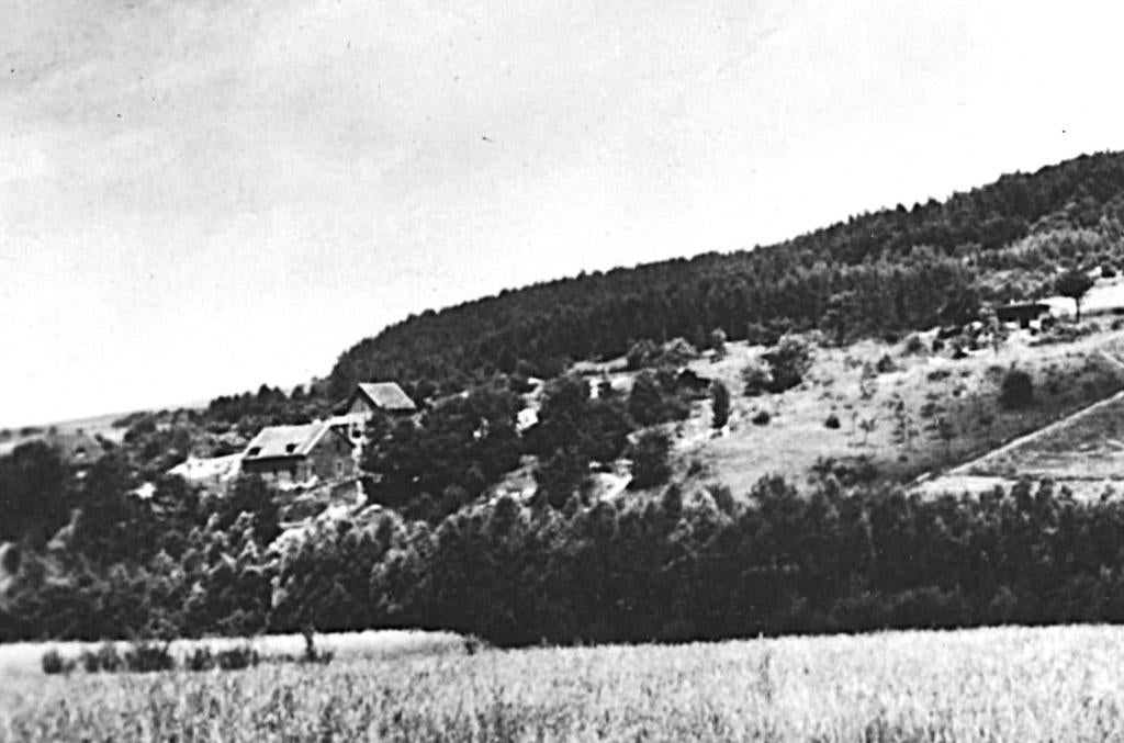 965019 Vaals Limburg Schneeberg v  Jeugdherberg Onbeschreven, Verzamelen, Ansichtkaarten | Nederland, Ophalen of Verzenden, 1960 tot 1980