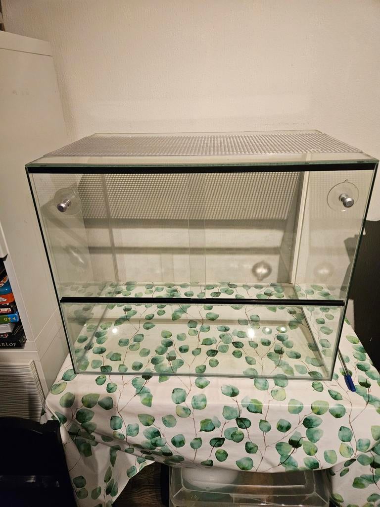 Terarrium/ knaagdieren glazenhok + veel accessoires, Kooi, Gebruikt, Minder dan 75 cm, Muis