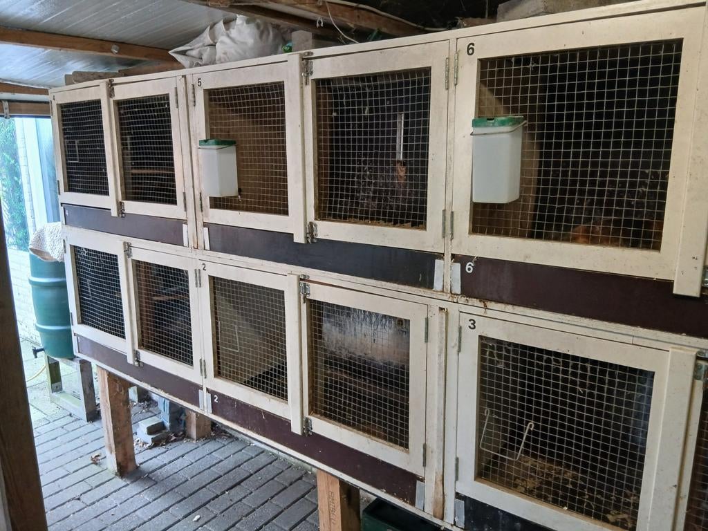 Konijnen hok / flat, Dieren en Toebehoren, Knaagdieren en Konijnen | Hokken en Kooien, Ophalen, 110 cm of meer, 90 cm of meer