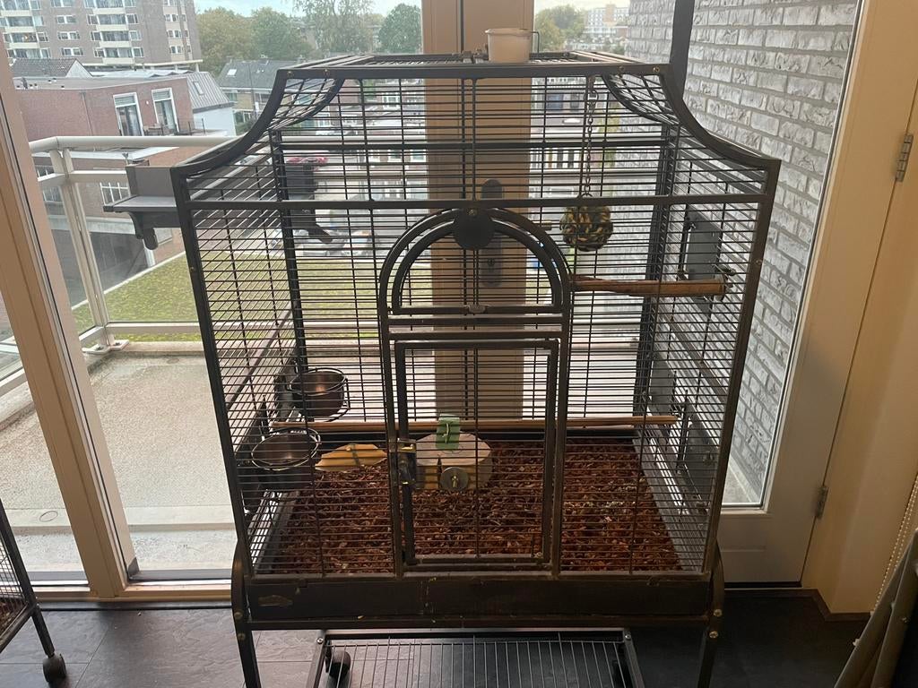 Papagaaien kooi Montana, Ophalen, Gebruikt, Metaal, Vogelkooi