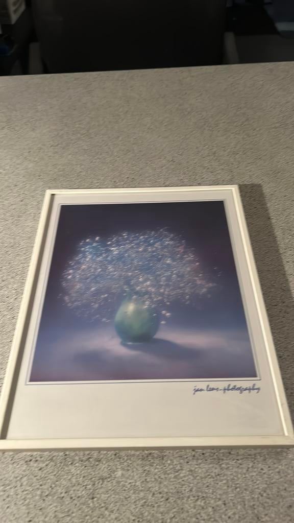 Ingelijste foto van Jan Lens - 31x25 cm, Huis en Inrichting, Woonaccessoires | Schilderijen, Tekeningen en Foto's, Ophalen of Verzenden
