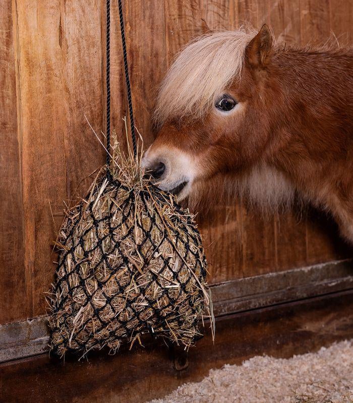 Nieuw Shetty hooinet slowfeerder, Dieren en Toebehoren, Paarden en Pony's | Overige Paardenspullen, Nieuw, Overige soorten, Ophalen of Verzenden