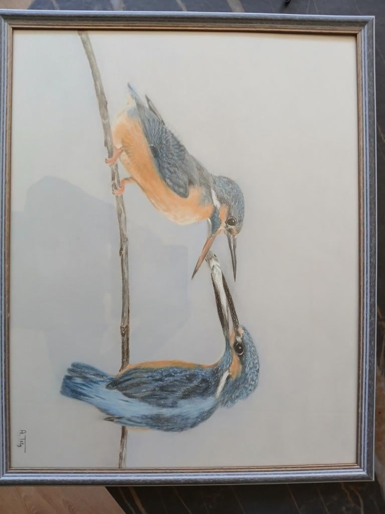 Ingelijste aquarel van ijsvogels - gesigneerd A. Tety, Ophalen of Verzenden