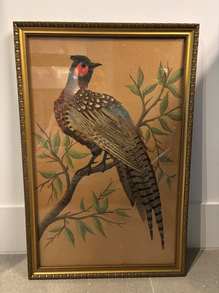 Vintage Lijst met Fazantenveren - Uniek Kunstwerk, Ophalen of Verzenden