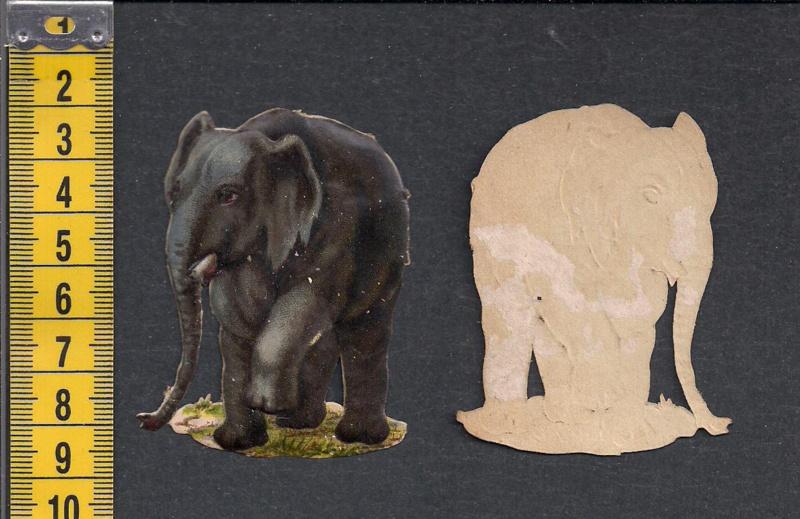 Olifant antiek poezieplaatje (600), Ophalen of Verzenden