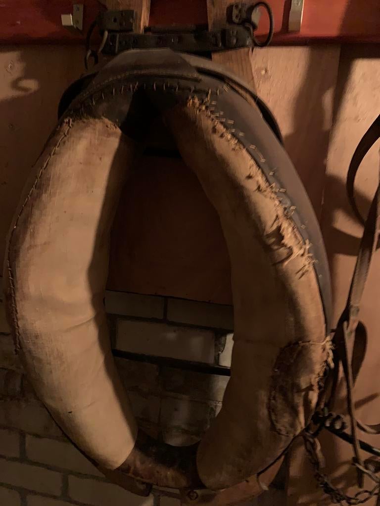 Haam , paardenhoofdstel antiek, Dieren en Toebehoren, Paarden en Pony's | Hoofdstellen en Tuigage, Ophalen, Gebruikt, Overige soorten