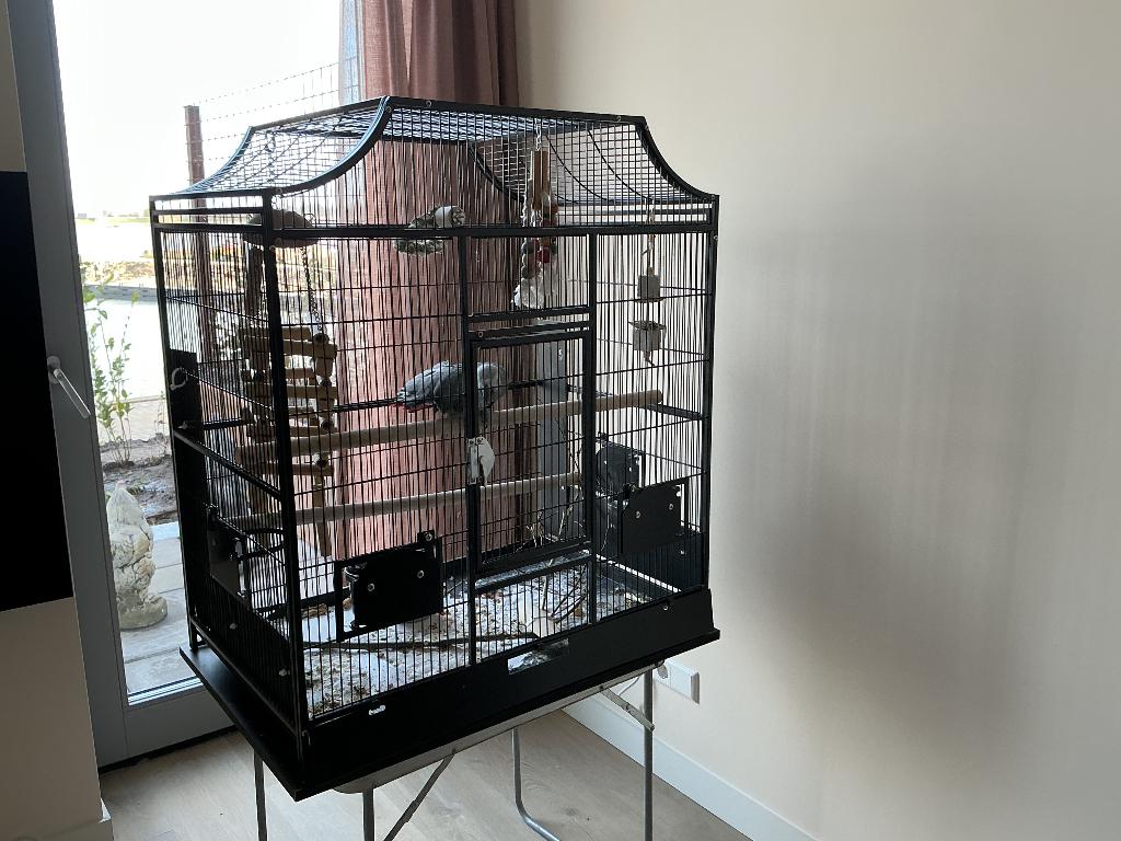 Vogelkooi, Dieren en Toebehoren, Ophalen, Gebruikt, Metaal, Vogelkooi