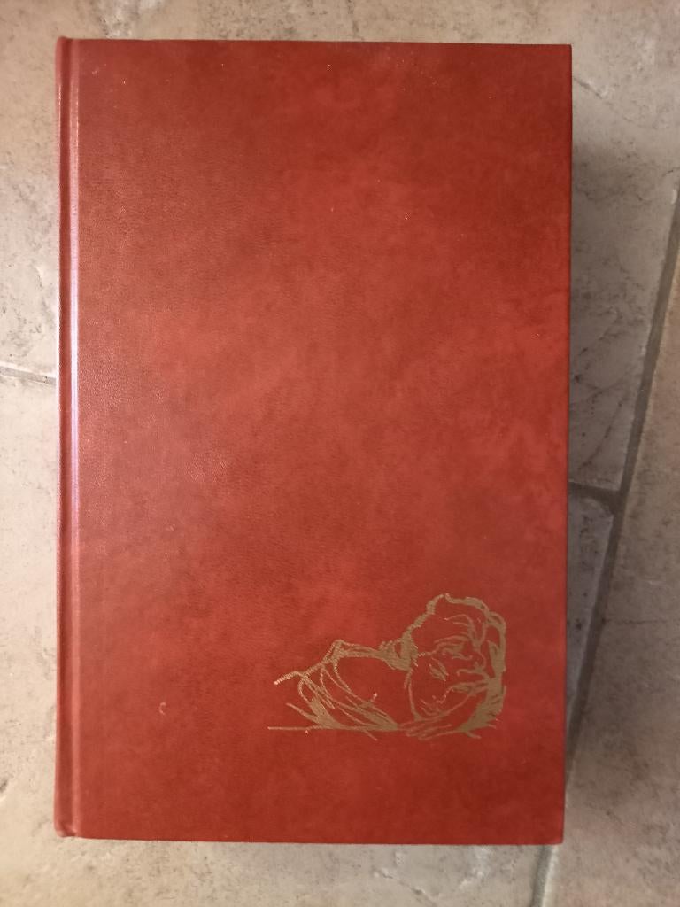 Angelique omnibus, Boeken, Ophalen of Verzenden, Zo goed als nieuw, Nederland