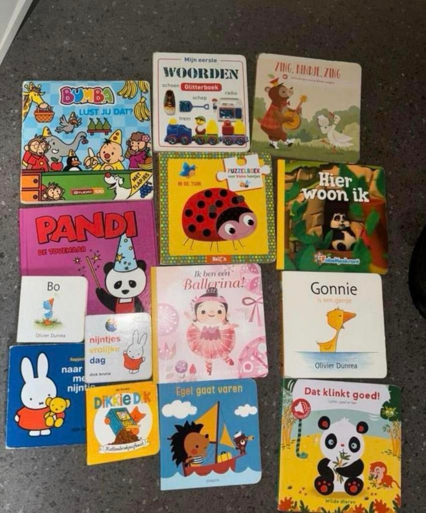 14 leuke kinderboeken, waaronder Bumba, PANDI en Nijntje, Ophalen of Verzenden, Gelezen