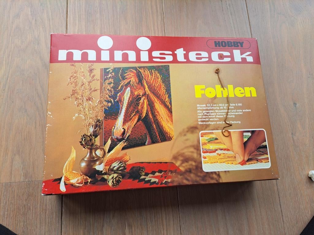 Ministeck Hobby Paarden - pakket, Hobby en Vrije tijd, Ministeck, Ophalen of Verzenden, Gebruikt, Box-set