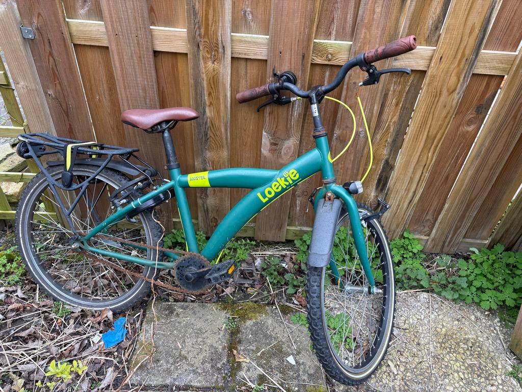 Loekie Kinderfiets - Groen, Ophalen, Gebruikt, 20 inch of meer