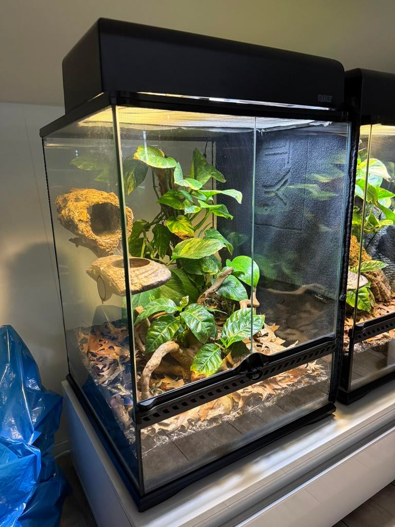 Exo Terra Terrarium - 45x60x60 - Bioactief, Ophalen, Zo goed als nieuw
