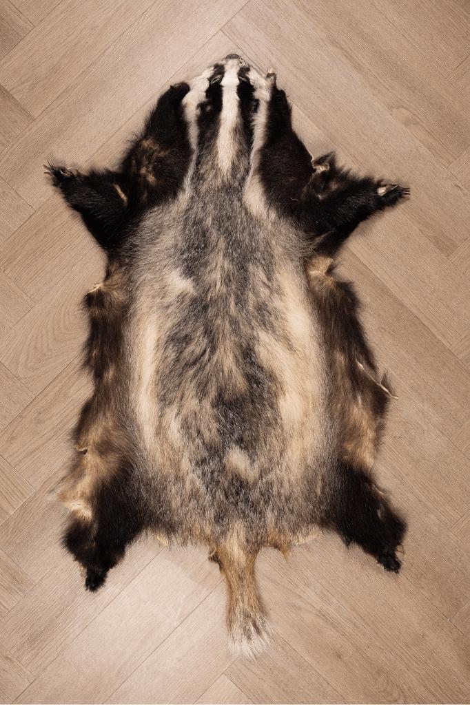 Dassen vacht, Verzamelen, Dierenverzamelingen, Ophalen of Verzenden, Zo goed als nieuw, Overige soorten, Overige typen