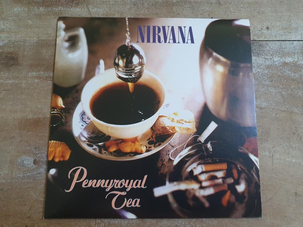 Nirvana - Pennyroyal Tea, Ophalen of Verzenden, Zo goed als nieuw, Pop