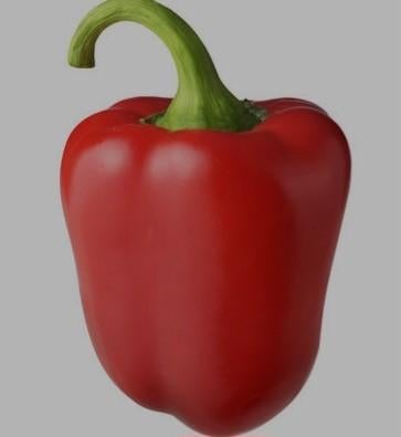 Paprikaplantjes, Tuin en Terras, Planten | Tuinplanten, Ophalen, Eenjarig, Groenteplanten, Volle zon