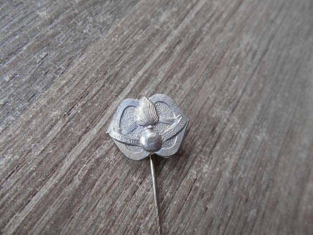 Koninklijke Marechaussee insigne KMar, Ophalen of Verzenden, Marechaussee, Nederland, Overige typen