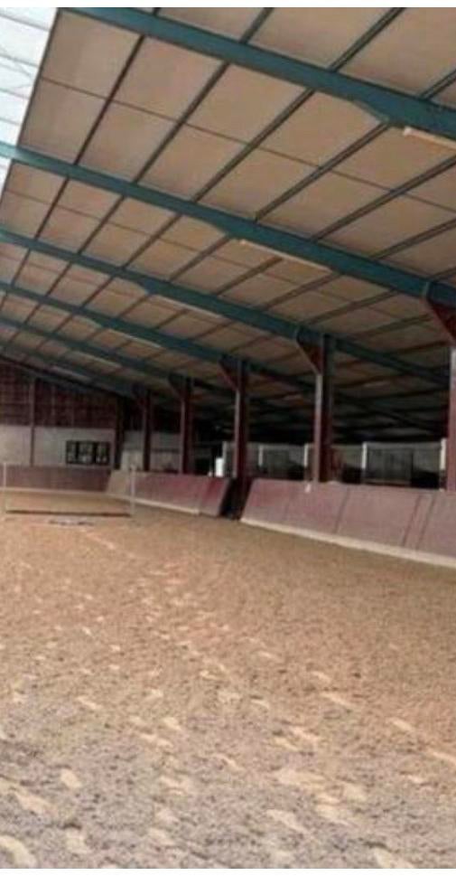 10 paarden stallen te huur /10 paarden boxen te huur, Weidegang, 4 paarden of pony's of meer