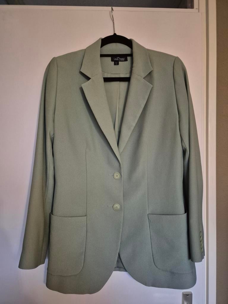 GEZOCHT: LaDress Carey Maat M, Ophalen of Verzenden, Zo goed als nieuw, Maat 38/40 (M), Groen